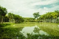 Map Prachan Reservoir Park, Thailand. A park with palm trees, trees, a lake and lilies Royalty Free Stock Photo