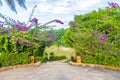 Park panorama of the landscape Mekong river Luang Prabang Laos Royalty Free Stock Photo