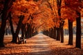 park path during the autumn season. It features a tranquil walkway flanked by rusty autumn trees on each side.