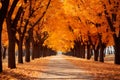 park path during the autumn season. It features a tranquil walkway flanked by rusty autumn trees on each side.