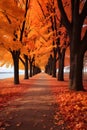 park path during the autumn season. It features a tranquil walkway flanked by rusty autumn trees on each side.