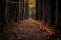 a park path magically transformed into a haunted Halloween trail.