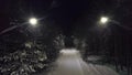 Park path at night in snow. Clip. Top view of mysterious and frightening turning off lights on forest trail plunging