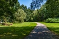 Park path road flowers trees green