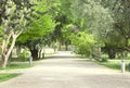 Park pathway Royalty Free Stock Photo