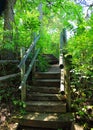 Park Pathway stairs