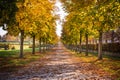 Park Pathway Trail Autumn Fall Stone Dirt Walking Long Perspective Dead Leaves on Ground Daytime Warm Beautiful Light Diagonal Li Royalty Free Stock Photo