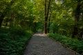 Park paved road for walking picturesque wood land outdoor nature landscaping environment space in early autumn September day time