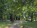 Park of Pejacevic Castle or Perivoj dvorca Pejacevic ili Nasicki gradski park