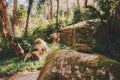 Park of Pena Palace in Sintra, Portugal. Rainforest with wild ferns Royalty Free Stock Photo