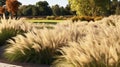 Award-winning Unreal Engine Rendered Park With Green Grasses