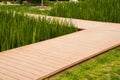 The park, plank paved road, there are green plants