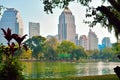 Park with a pond in Asia. Beautiful Bangkok. The building in the vegetation. A green city.