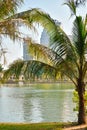 Park with a pond in Asia. Beautiful Bangkok. The building in the vegetation. A green city.