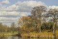 Park and pond of Clapham common in London Royalty Free Stock Photo