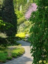 Park promenade alley on the background of colorful ornamental pl