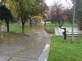 Park after rain