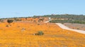 Park ranger on the Roof of Namaqualand viewpoint