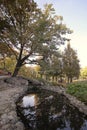 Park in Riga at autumn, Latvia, Europe Royalty Free Stock Photo