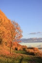 Park in Riga at autumn, Latvia, Europe Royalty Free Stock Photo