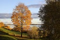 Park in Riga at autumn, Latvia, Europe