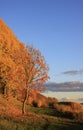 Park in Riga at autumn, Latvia, Europe Royalty Free Stock Photo