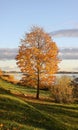 Park in Riga at autumn, Latvia, Europe Royalty Free Stock Photo