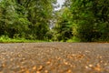 Park road in Edinburgh city, Scotland UK Royalty Free Stock Photo