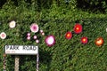 Park Road Hedge Womens Institute Yarn Bombing