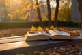 Park\'s scholarly corner, Open book on wooden bench amid autumn park
