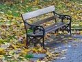 Park Seat in Autumn Royalty Free Stock Photo