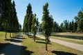 Park of Seneffe, rows of trees Royalty Free Stock Photo
