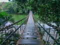 The cable suspension bridge of shenzhen east lake park. Royalty Free Stock Photo