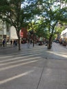 Park Shopping in Downtown Denver, 16th Street