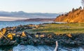 Park Shoreline Landscape