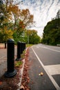 Park side street and bike lane setting autumn trees and leaves environment