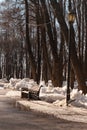 A park sidewalk with a lonely streetlamp and a bench. An early spring with lots of snow melting down. A bunch of dark leafless Royalty Free Stock Photo