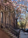 Park Slope, Brooklyn, New York City, USA Royalty Free Stock Photo