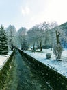 Park snow stream Nature winter trees vektor