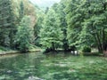 Park and source of Bosna River Royalty Free Stock Photo