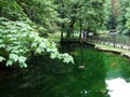 Park and source of Bosna River Royalty Free Stock Photo