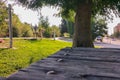 Park space in an urban environment with green lawn, benches, trees and walking paths on a summer sunny day. Landscaped Royalty Free Stock Photo