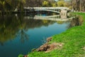 Park in spring beautiful river and blooming magnolia