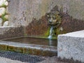 Park spring in granite design with a bronze head of a lion in the park \