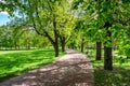 Park in the spring with green lawn, sun light. Stone pathway in Royalty Free Stock Photo