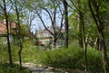 Park in Spring in Grunewald, Wilmersdorf, Berlin Royalty Free Stock Photo