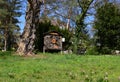 Park in Spring in the Neighborhood of Grunewald, Wilmersdorf, Berlin Royalty Free Stock Photo