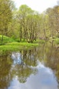 PArk in spring.