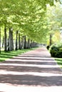 Park in spring Royalty Free Stock Photo