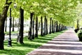 Park in spring Royalty Free Stock Photo